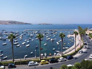 a bunch of boats in a harbor with palm trees at SeaLine in St. Paul's Bay +11 photos