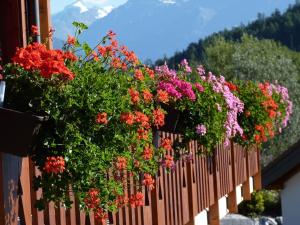Φωτογραφία από το άλμπουμ του Chalet des Alpes σε Crans-Montana