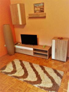 a living room with a television and a rug at Studio apartment Meli in Ogulin
