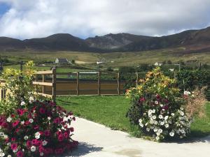 a garden with flowers and a fence and mountains at The Rusty Mackerel in Teelin