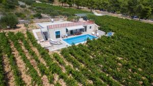Fotografie z fotogalerie ubytování Villa Paola v destinaci Bol