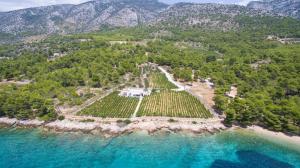 eine Luftansicht auf einen Weinberg am Strand in der Unterkunft Villa Paola in Bol