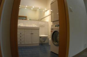 La salle de bains est pourvue d'un lavabo et d'un lave-linge. dans l'établissement Chalet Guggenbiel, à Zermatt
