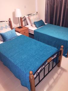 two beds in a room with blue sheets on them at Menelaos Villa 9 in Paralimni