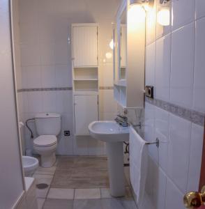 セビリアにあるPureza Dream Suiteの白いバスルーム(トイレ、シンク付)
