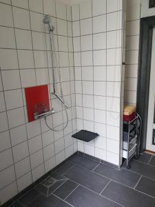 ein Bad mit einer Dusche mit einer Bank in der Unterkunft Zwischen-Rhein-und-Reben, zentral, barrierefrei in Speyer