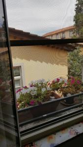 a window with a bunch of flowers on a balcony at Mavi's bedrooms in Lucca