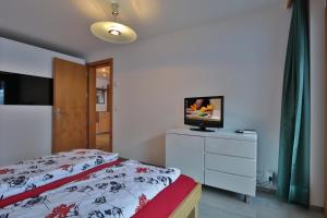 TV a/nebo společenská místnost v ubytování Ferienwohnung Steinmattstrasse