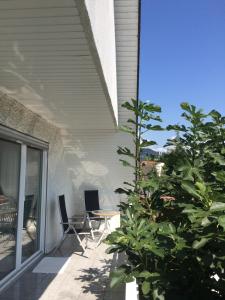 a patio with a table and chairs and a plant at Schöne Zimmer im Zentrum Leben in Offenburg +9 photos