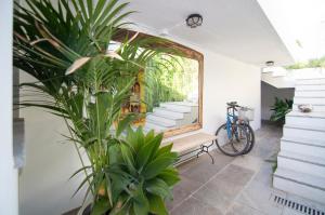 una planta en una habitación con espejo y banco en CUBO DE MADERA individual con Jardín y Porche en Torre de Benagalbón