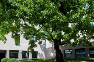 a tree in front of a building at Holiday Inn Trnava by IHG in Trnava