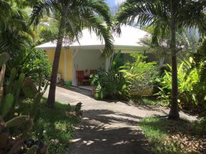 a cat sitting in front of a house with palm trees at ti case gwada location in Sainte-Anne