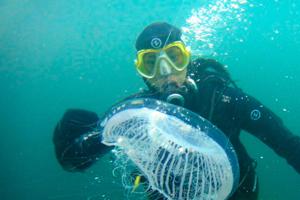 Snorkeling și/sau scufundări la sau în apropiere de această cabană