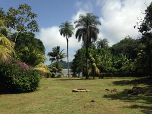 een park met palmbomen en een waterlichaam bij Ladoré in Montjoly