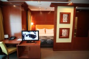 TV a/nebo společenská místnost v ubytování Garni Hotel Aleksandar