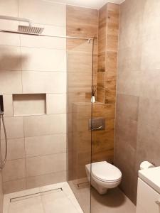 a bathroom with a toilet and a glass shower at Silver Residence in Rabka
