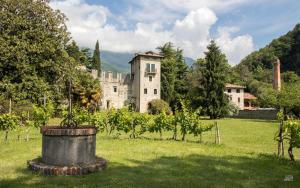 ein altes Schloss auf einem Feld mit Bäumen und Gras in der Unterkunft Castrum di Serravalle in Vittorio Veneto
