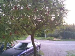 Φωτογραφία από το άλμπουμ του Mieszkanie Krukowska σε Sandomierz