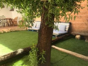 un árbol con dos sofás en un patio en Colores de Buendía en Buendía