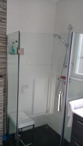 baño con ducha y puerta de cristal en Bon Bed & Breakfast, en Ámsterdam