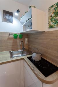 Kuchyňa alebo kuchynka v ubytovaní Guest House Blue