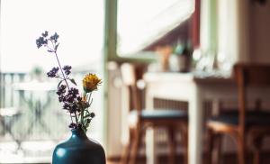 Fotografia z galérie ubytovania Ferienwohnung Morgengabe v destinácii Fraxern
