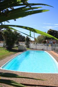 a large blue swimming pool in a yard at Hi Way Motor Inn in Yass