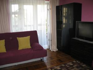 a living room with a purple couch and a tv at Apartment na Prospekt Bolshevikov 3 in Saint Petersburg