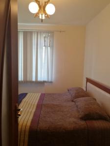 Schlafzimmer mit einem Bett und einem Fenster in der Unterkunft Jermuk Apartment in Dschermuk