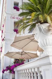 Fotografie z fotogalerie ubytování Hotel Lido v Rimini