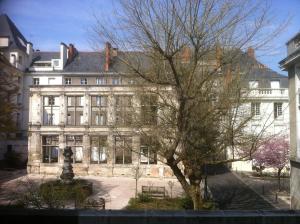 een groot wit gebouw met een boom ervoor bij Hotel Berthelot in Tours