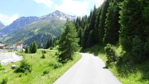 a dirt road with trees and mountains in the background at Haus Bergheim in Sankt Leonhard im Pitztal