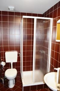 a bathroom with a toilet and a shower at Gostilna s prenocisci Danica in Slovenska Bistrica