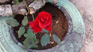 Photo de la galerie de l'établissement Soledade Pousada e Apart Hotel, à Morro do Chapéu
