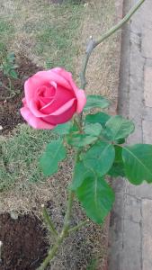 Photo de la galerie de l'établissement Soledade Pousada e Apart Hotel, à Morro do Chapéu 38 autres photos