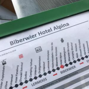 ビーバーヴィアーにあるHotel Alpina Reginaのギャラリーの写真