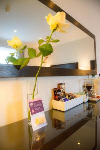 a flower in a vase on a table at Aaron Glen Apartments in Edinburgh