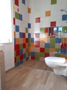 a colorful bathroom with a toilet and a shower at House at the seafront in Stari Grad