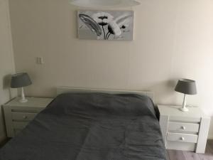 a bedroom with a bed with two night stands and two lamps at B&B Op 't Eikenschoor in Soerendonk