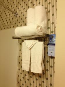 een stel handdoeken op een handdoekenrek in de badkamer bij Microtel Inn & Suites by Wyndham Denver Airport in Denver