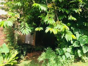 Giardino di Veraima Kandy