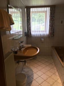 a bathroom with a sink and a window at Gasthof zum Gamsjäger in Sankt Nikolai im Sölktal