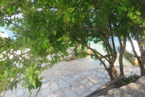 Fotografie z fotogalerie ubytování I&J Relaxing Beach Apartments v destinaci Račišće