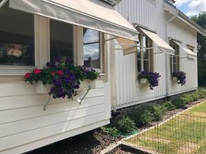 una fila de casas con flores en sus ventanas en Pia's Apartment en Gotemburgo