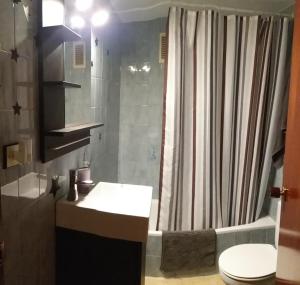 セグル・デ・カラフェルにあるBabsi's Apartmentのバスルーム(シンク、シャワー、トイレ付)