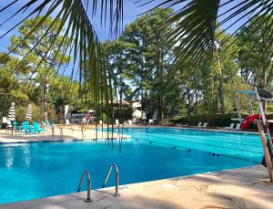 a large blue swimming pool with chairs and a palm tree at The Inn at Houndslake in Aiken