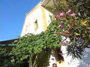 a building with flowers on the side of it at Lenia Studios in Kalamitsi