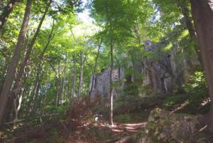 un camino en un bosque con árboles y rocas en Land-gut-Hotel Räuber Lippoldskrug, en Alfeld