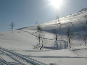 Fotografie z fotogalerie ubytování Lyngenfjord,Odins Hus v destinaci Olderdalen