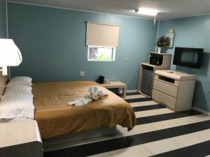 a bedroom with a bed and a tv in it at Apollo Inn - Cocoa in Cocoa